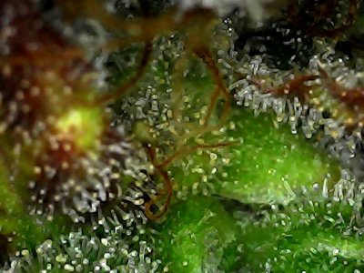 Sat Jan 20 20-11-02.jpg