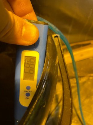 Замер первого растения 3.jpeg