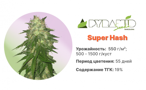 Super Hash