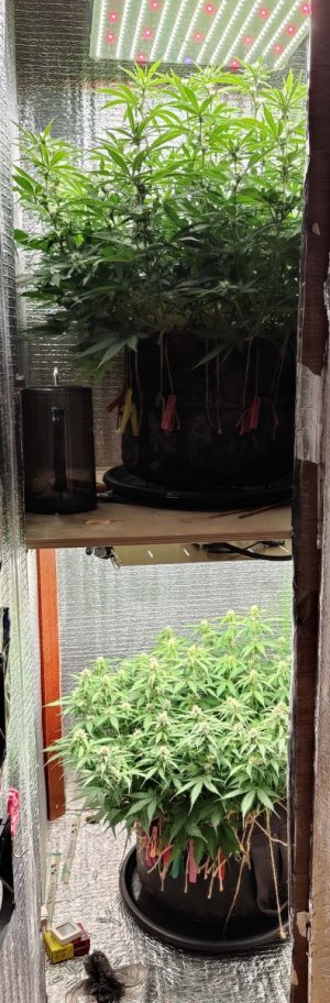 Общий план.jpg