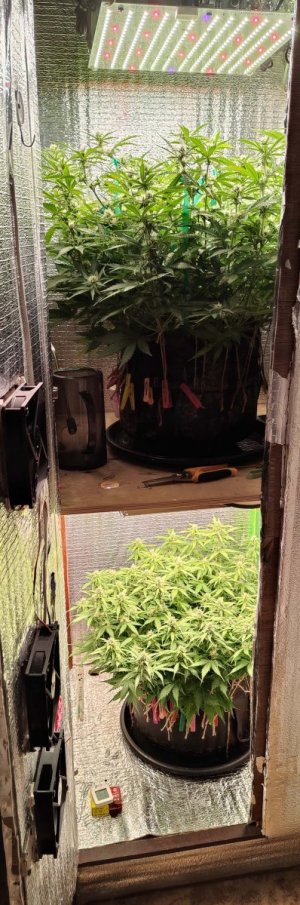 Общий план.jpg