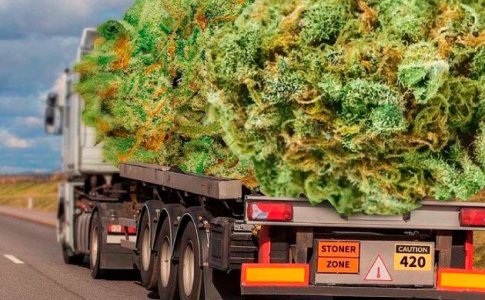 Сбор урожая автоцвета. Харвест