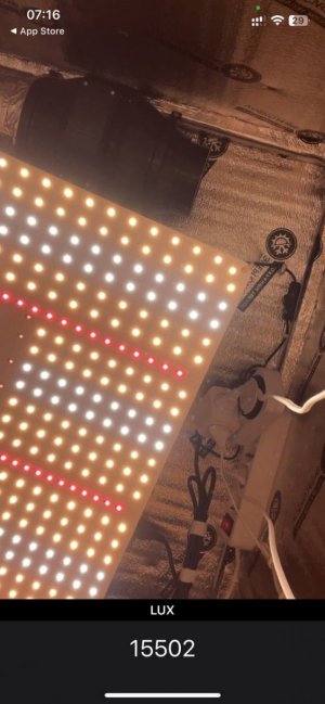 Замер 1 lowryder.jpg