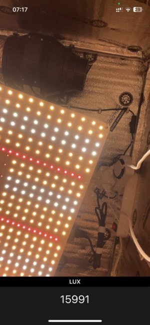 Замер 2 lowryder.jpg