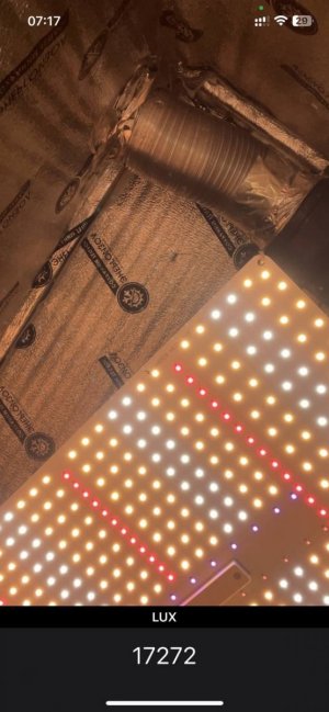 Замер 2. chronic ryder.jpg