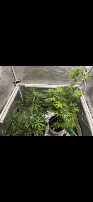 56 день (27.03.24).jpeg