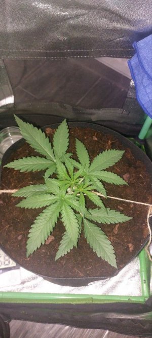 2024.04.23 - 15 день(750 мл воды).jpg