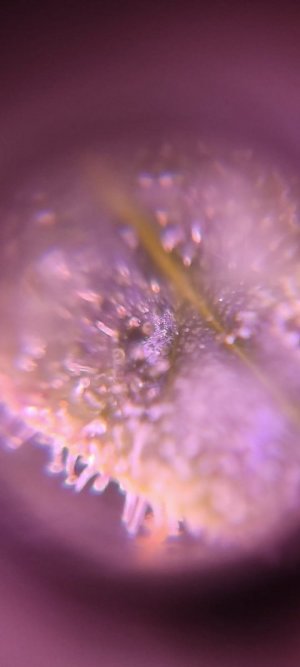 WhatsApp Image 2024-04-28 at 13.56.18.jpeg