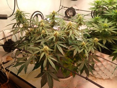 2024-05-02 080741.jpg