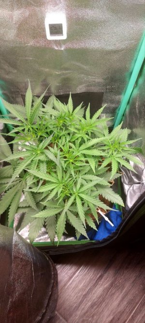 2024.05.03 - 25 день.jpg