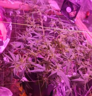 WhatsApp Image 2024-05-19 at 10.00.24.jpeg