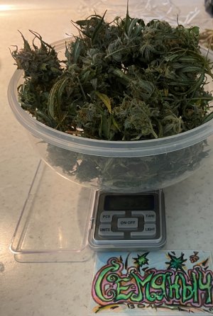 (неделя после Харва) 10 мая.jpeg