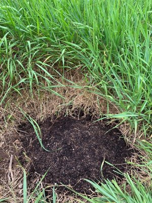 IMG_5647 — копия.jpg