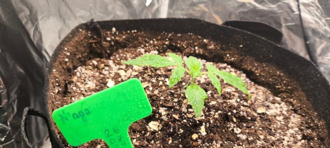 WhatsApp Image 2024-08-07 at 10.27.06.jpeg