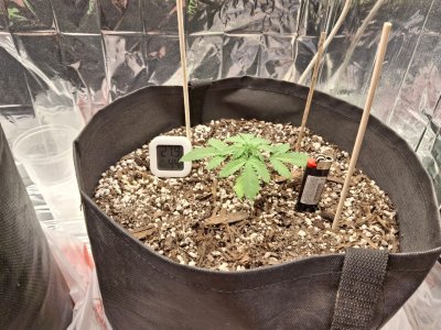 WhatsApp 2024-10-27 в 20.25.25_d8f8df61.jpg